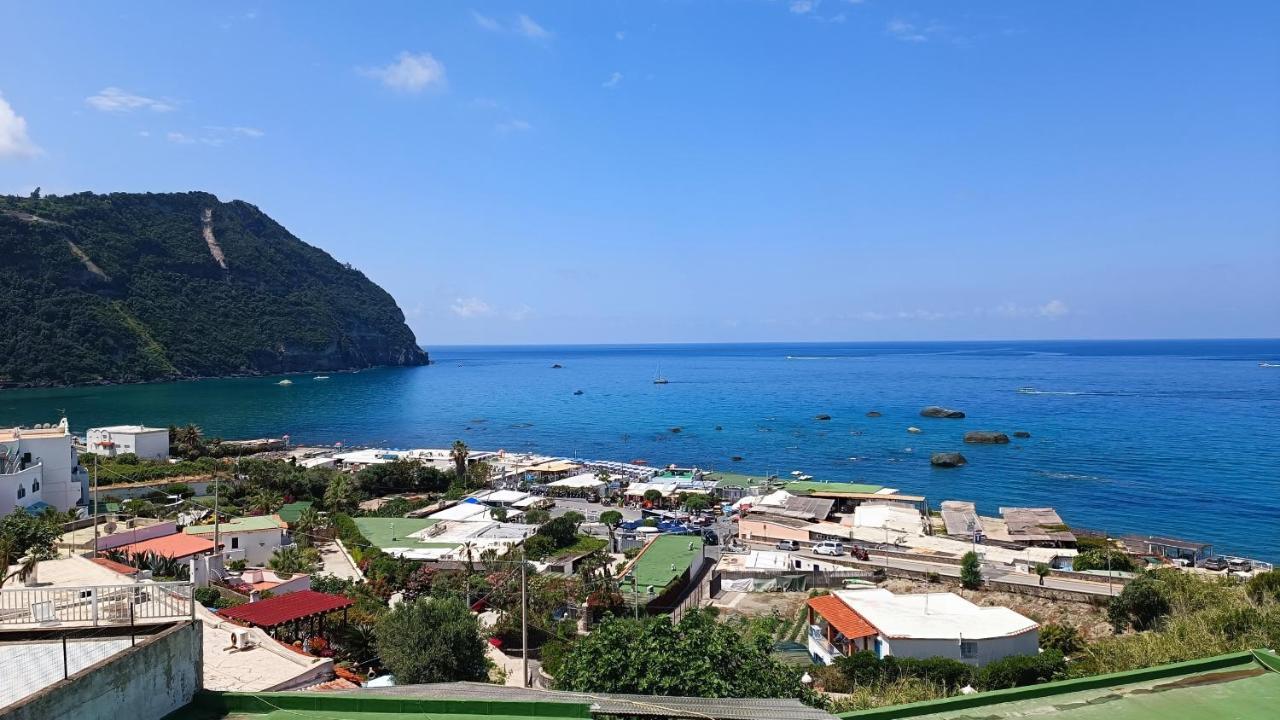 شقة La Dea Del Mare Forio di Ischia المظهر الخارجي الصورة